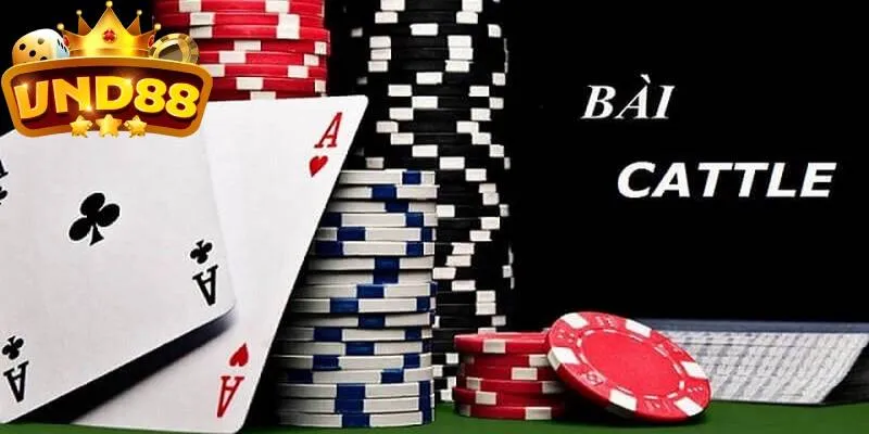 Hướng dẫn cách chơi cattle VND88 đơn giản cho người mới