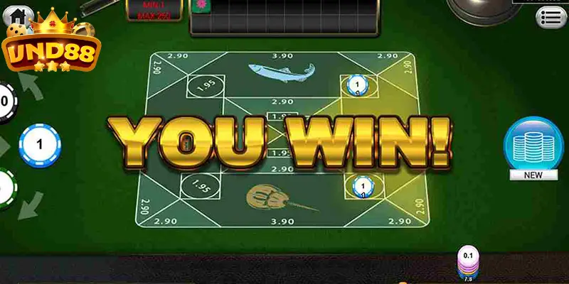 Tỷ lệ cược trong Belangkai